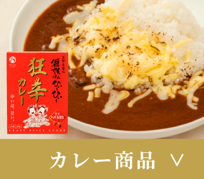 カレー商品