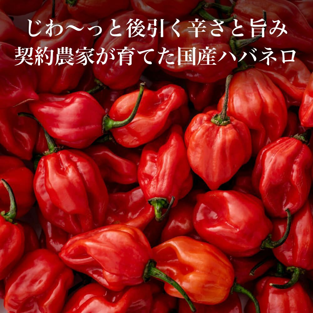 舞妓鍋セット_舞妓一味